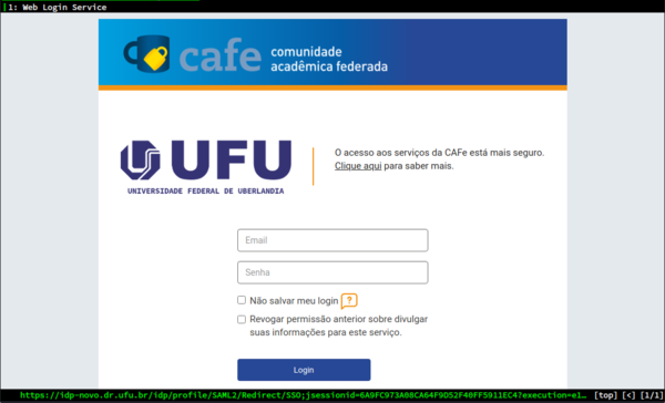 Certificado icpedu rnp html 91b49a4626271980.png